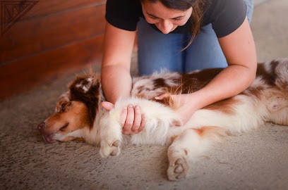 Elodie Chaplin Ostéopathe Animalier - Finistère, Ostéopathe à Scaër