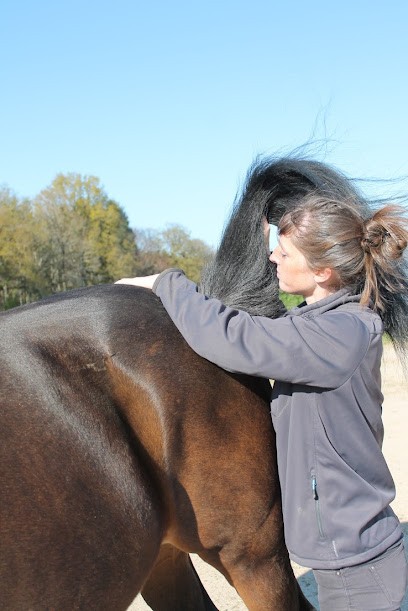 Coralie Stopyra - Ostéopathe Animalier, Ostéopathe à Vitrac-sur-Montane