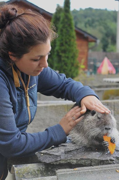 Osteopathe Naturopathe Chevaux Chien, Ostéopathe à Selles