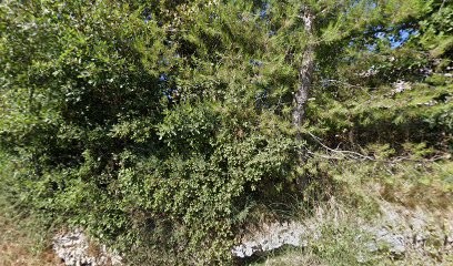 Imberti Martine, Ostéopathe à La Bastide-des-Jourdans