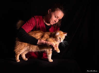 OAK : Ostéopathie Animale Et Kinésiologie, Ostéopathe à Épaignes