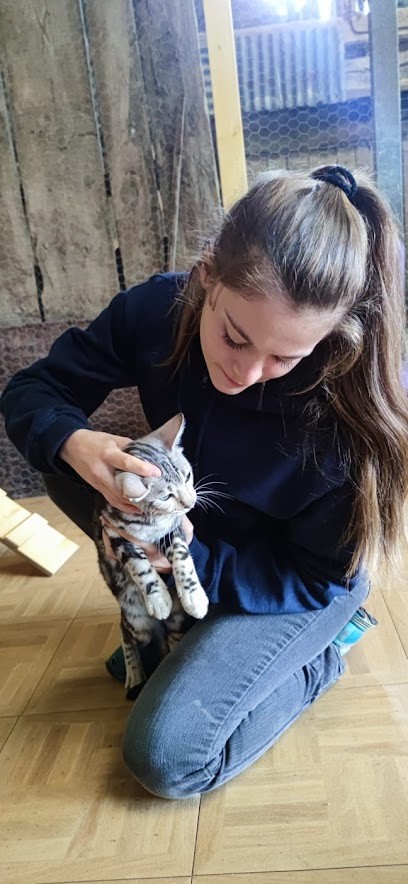 Elo'steo, Elody CARLIER Ostéopathe Animalier, Ostéopathe à La Teste-de-Buch