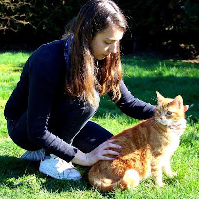 Veillerot Céline Ostéopathe Animalier : équin, Canin - Cheval, Chien (Gien), Ostéopathe à Ousson-sur-Loire