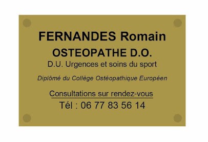Romain Fernandes, Ostéopathe à Villeparisis
