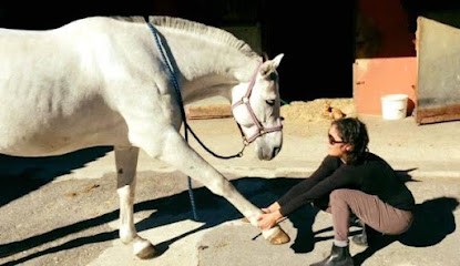 Maud Poussin - Ostéopathe Animalier, Ostéopathe à Alès