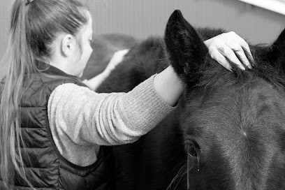 Emma Bastos Ostéopathe Animalier En Ariège, Ostéopathe à Tarascon-sur-Ariège