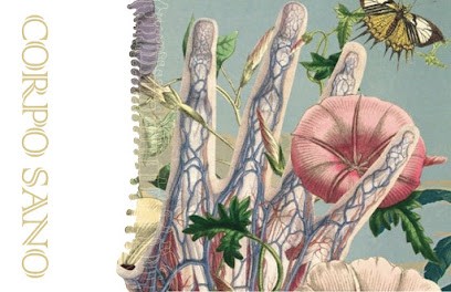 Giola Laetitia, Ostéopathe à Sanary-sur-Mer