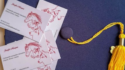 Jennifer Marques _ Ostéopathie animale, Ostéopathe à Menton