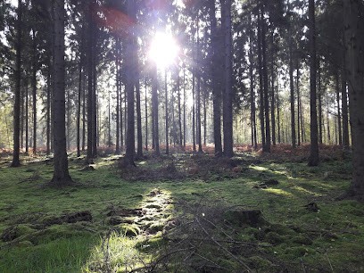 Benoit Szablewski Ostéopathe D.O., Ostéopathe à Saint-Amand-les-Eaux
