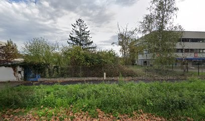 Charlotte VALDIVIESO Ostéopathe DO, Ostéopathe à Colmar