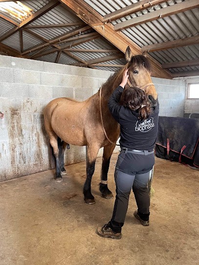 Yéva Zaïdi- Ostéopathe Animalier OA1028, Ostéopathe à Inzinzac-Lochrist