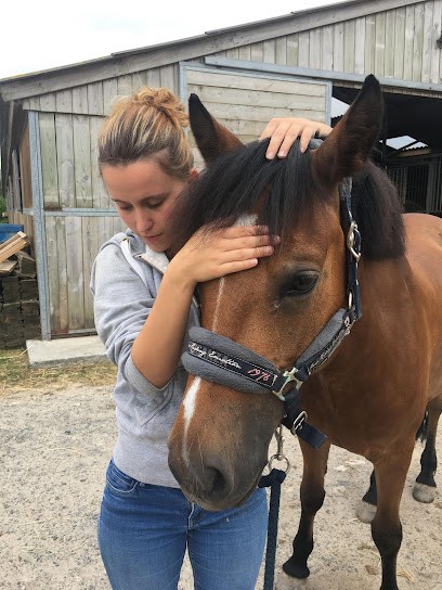 Mathilde CHARDON - Ostéopathe Pour Animaux, Ostéopathe à Écouves