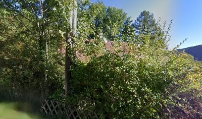 Sophie Weber. Ostéopathe Pour Animaux (équin/canin), Ostéopathe à Fillinges