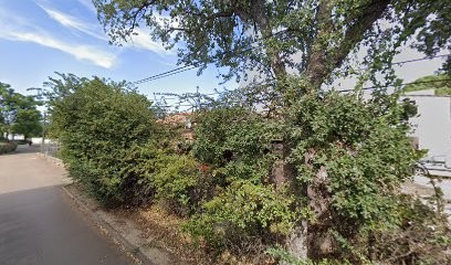 Terramorsi Agnès, Ostéopathe à Porto-Vecchio