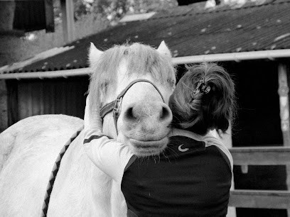 Ostéopathe Animalier - Mathilde Godard, Ostéopathe à Saint-Hilaire-des-Loges