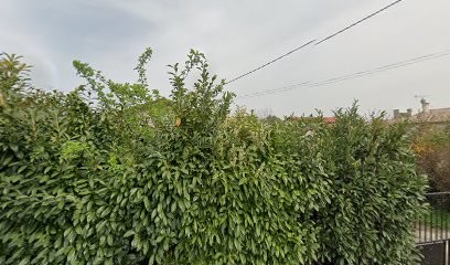 Jacques Petit, Ostéopathe à Pamiers