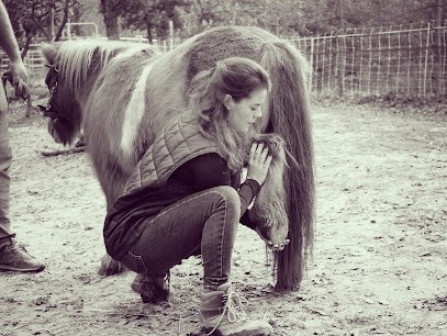 Emma Neveux Ostéopathe Animalier, Ostéopathe à Puyméras