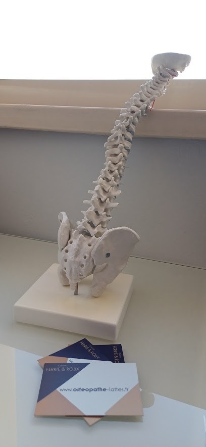 Victor Roux, Ostéopathe à Lattes