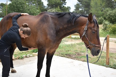 Ostéopathe Pour Animaux - Eva Dupont, Ostéopathe à Saint-Étienne-les-Orgues