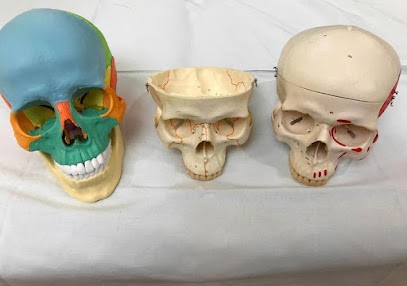 Jean-Baptiste Ferrandon Ostéopathe, Ostéopathe à Commentry