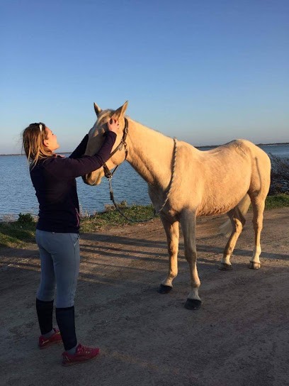Ostéopathe Animalier, Emma Guibert, Ostéopathe à Poussan