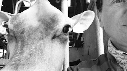 Céline Silberberg Ostéopathe Animalier, Ostéopathe à Saulzet-le-Froid