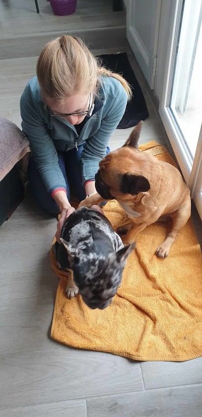 Ostéopathe Animalier - Elodie Brée, Ostéopathe à Dolus-d'Oléron