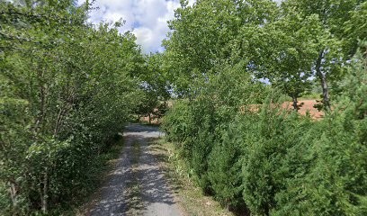 Cassandre ARROYO, Ostéopathe à Saint-Genest-de-Contest
