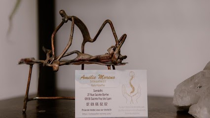 Moreno Amélie Ostéopathe D.O Sainte Foy Les Lyon (Pour Tous: Femme Enceinte, Nourrisson, Emotionnel), Ostéopathe à Sainte-Foy-lès-Lyon