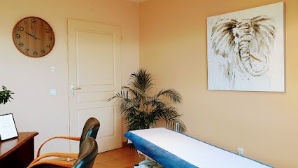 Nicolas Geffroy, Ostéopathe à Saint-Rambert-d'Albon