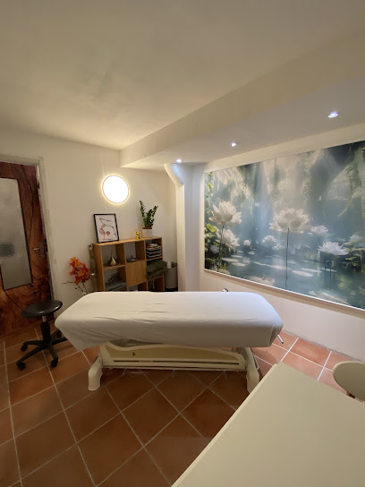 Cabinet Osteopathie Nice-Saint Roch, Ostéopathe à Nice