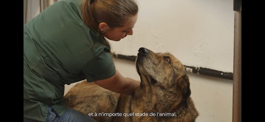 Ostéopathie Vétérinaire à Domicile - Dr Pauline Bourdette (toutes Espèces, Chiens, Chats, équins, Ruminants, NAC), Ostéopathe à Sucé-sur-Erdre