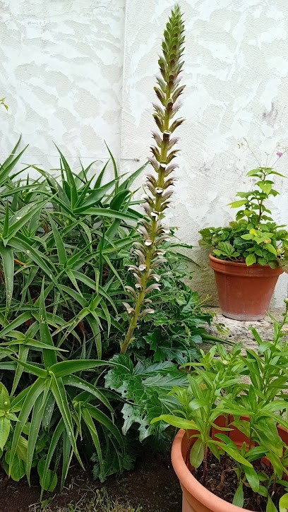 Dolus d’Oléron, Ostéopathe à Dolus-d'Oléron