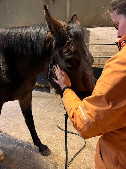 Odile Houtin (Frament) - Ostéopathe Pour Animaux. équin, Canin, Bovin, Chat, NAC, . Mayenne Et Nord Pays De La Loire, Ostéopathe à Craon