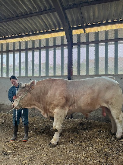 Laureline ADAM Ostéopathe Animalier, Ostéopathe à Saverne