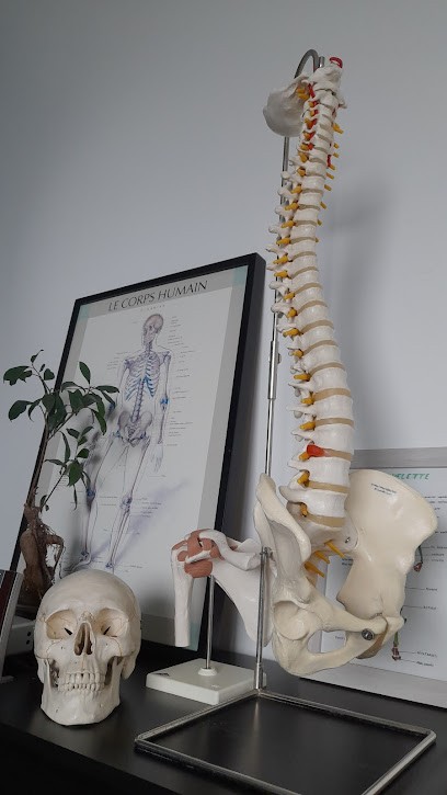 Delphine Boné Ostéopathe, Ostéopathe à Villemoisson-sur-Orge