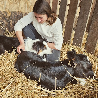 Dorine Loison Ostéopathie Animale (0A363) 72, Ostéopathe à Mansigné