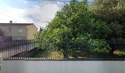 Carbonell Rabassa Nuria, Ostéopathe à Saint-Bauzille-de-Putois