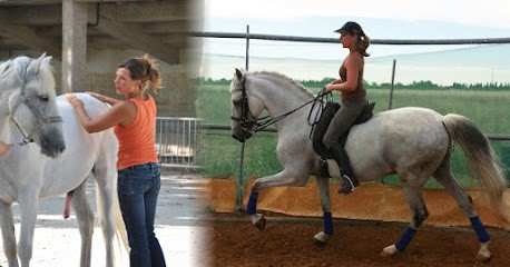 Eléonore Bienfait - Ostéopathe Equin Saint-Maximin, Ostéopathe à Saint-Maximin