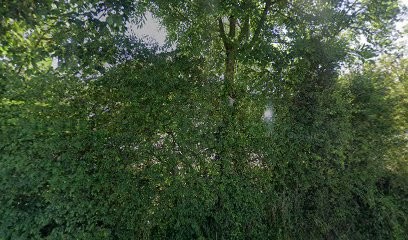 Gresset Ostéopathe, Ostéopathe à Étalans