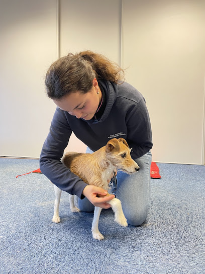 Carla Crépin - Ostéopathe Pour Animaux, Ostéopathe à Saint-Martin-de-Fontenay