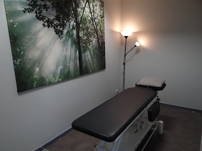 Maxime COCOGNE Ostéopathe D.O., Ostéopathe à Vaulx-en-Velin