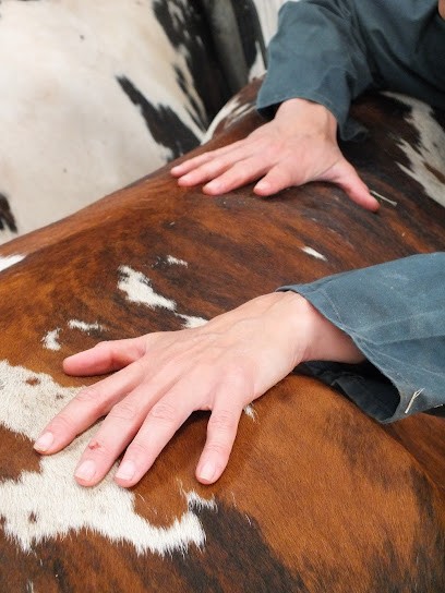 Alix RENOUX - Ostéopathe animalier, Ostéopathe à Auffay