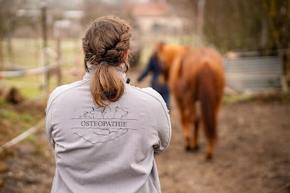 Jost Lara - Ostéopathe Animalier, Ostéopathe à Rosenwiller