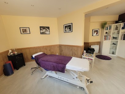 Maïlys Rosnet Ostéopathe D.O., Ostéopathe aux Clayes-sous-Bois