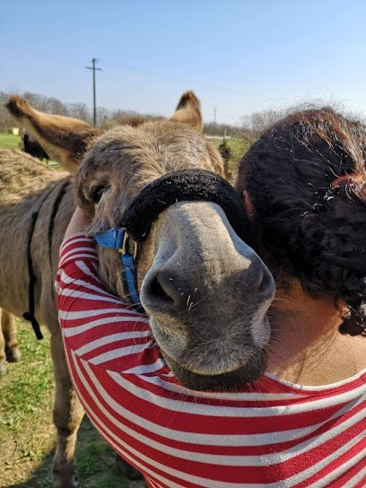 Mélanie DEMANGEON - Ostéopathe Animalier OA1069 (Équins - Bovins - Autres Ruminants), Ostéopathe à Javené