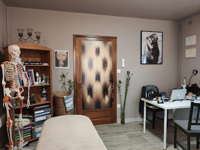 Alexandre Picard Ostéopathe D.O., Ostéopathe à Romans-sur-Isère