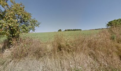 Henderson Brenda, Ostéopathe à Corgnac-sur-l'Isle