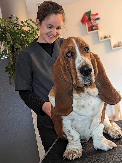L'harmonie Animale - Cabinet D'ostéopathie Animale, Ostéopathe à Antigny