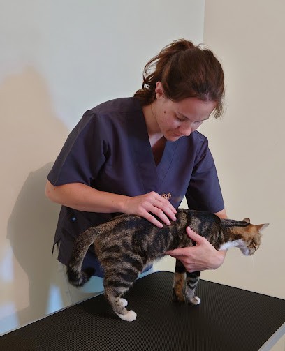 Ostéopathe Animalier - Charline Fouché, Ostéopathe à Sauzé-Vaussais